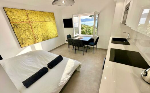 Appartement 50m de la plage la Nartelle